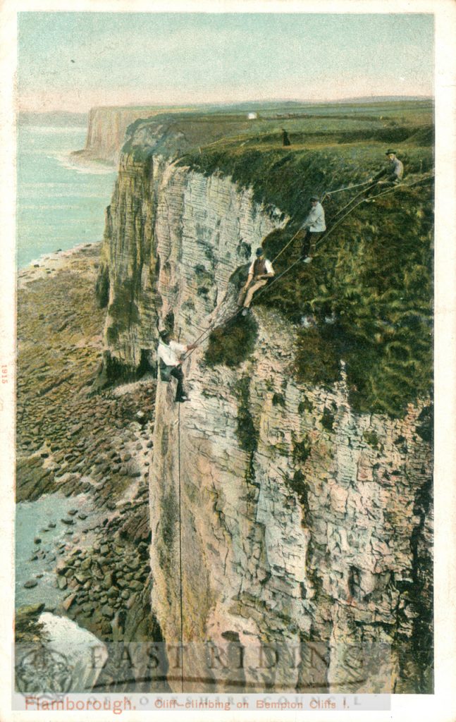 Cliff-climbing, Bempton 1900