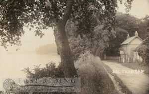 view near Hall, Saltmarshe 1911