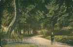 Mount Airy, South Cave  1900