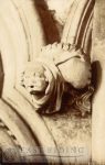 Beverley Minster interior, nave south aisle wall arcade label stop, Beverley c.1900s