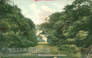 Westwood, Burton Bushes, Beverley 1904