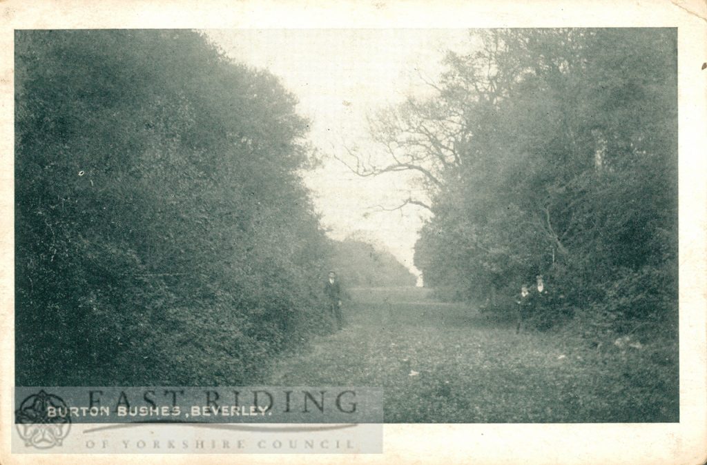 Westwood, Burton Bushes, Beverley 1906