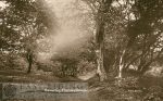 Westwood, Burton Bushes, Beverley 1910