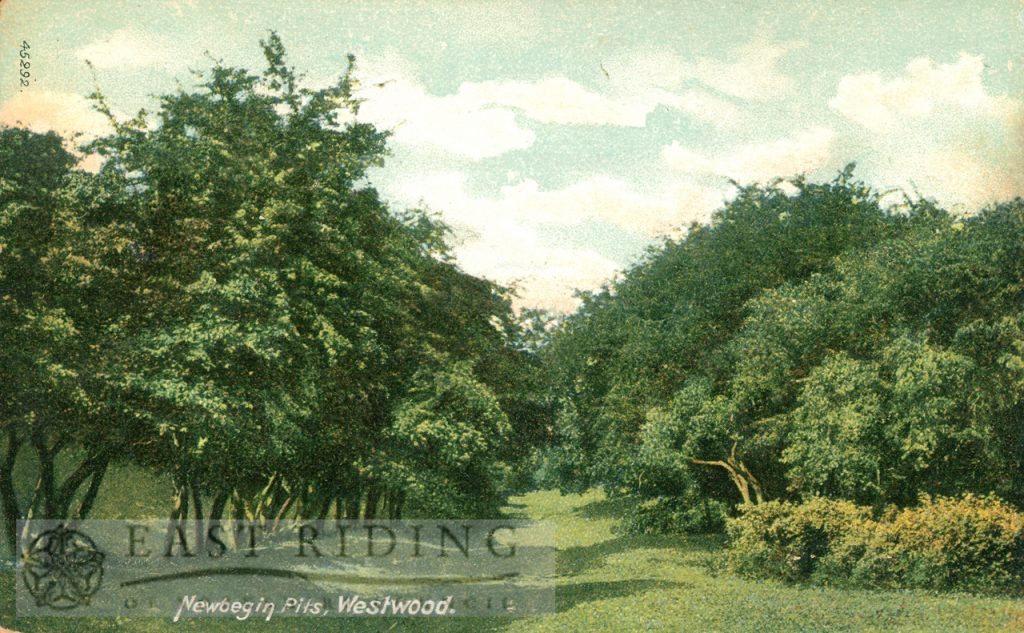 Westwood, Newbegin Pits, Beverley 1905