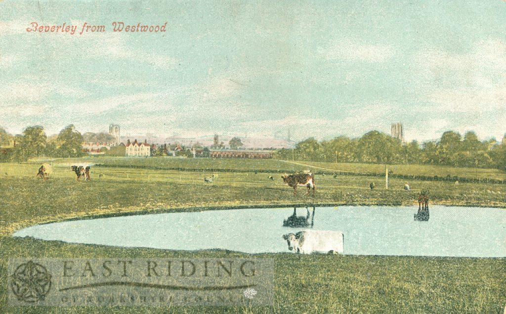 Westwood, from north west, with Hurn and pond in foreground, Beverley 1910
