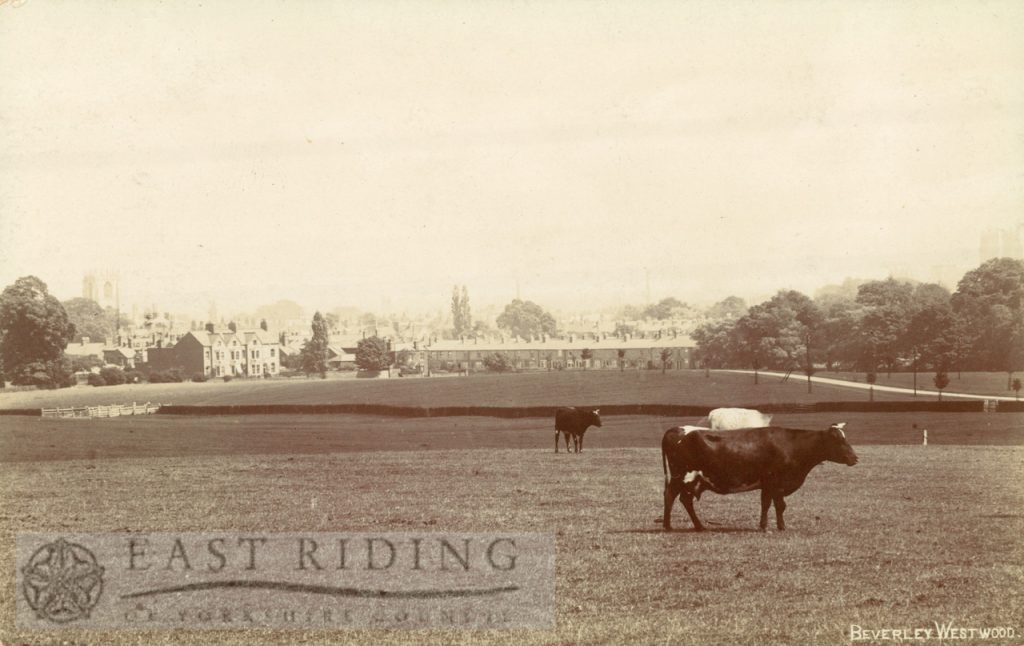 Westwood, from north west, with Hurn in foreground, Beverley 1910