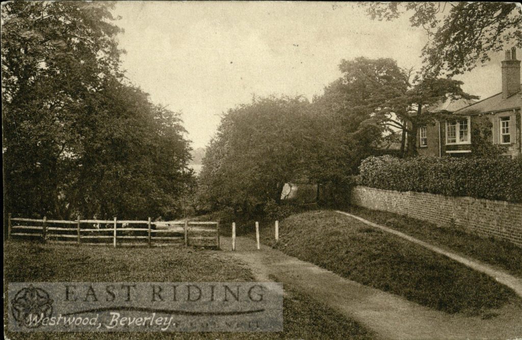 Westwood, near Westwood House, Beverley 1917