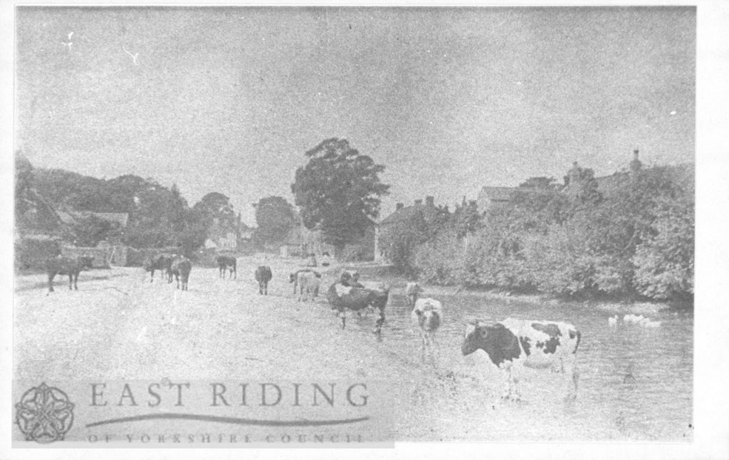 pond, Walkington  1900