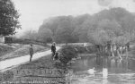 Low Springs, Welton 1905