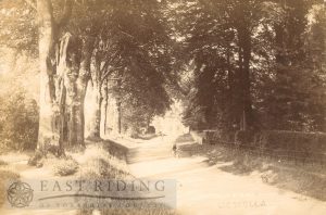 view near the Hall, West Ella 1904
