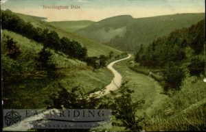 Brantingham Dale, Brantingham 1909, tinted