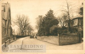 Parkfield Avenue Yorkshire Postcard Photo 6x4 North Ferriby 