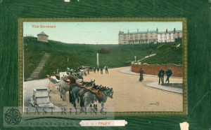 Donkeys and carriages, Filey