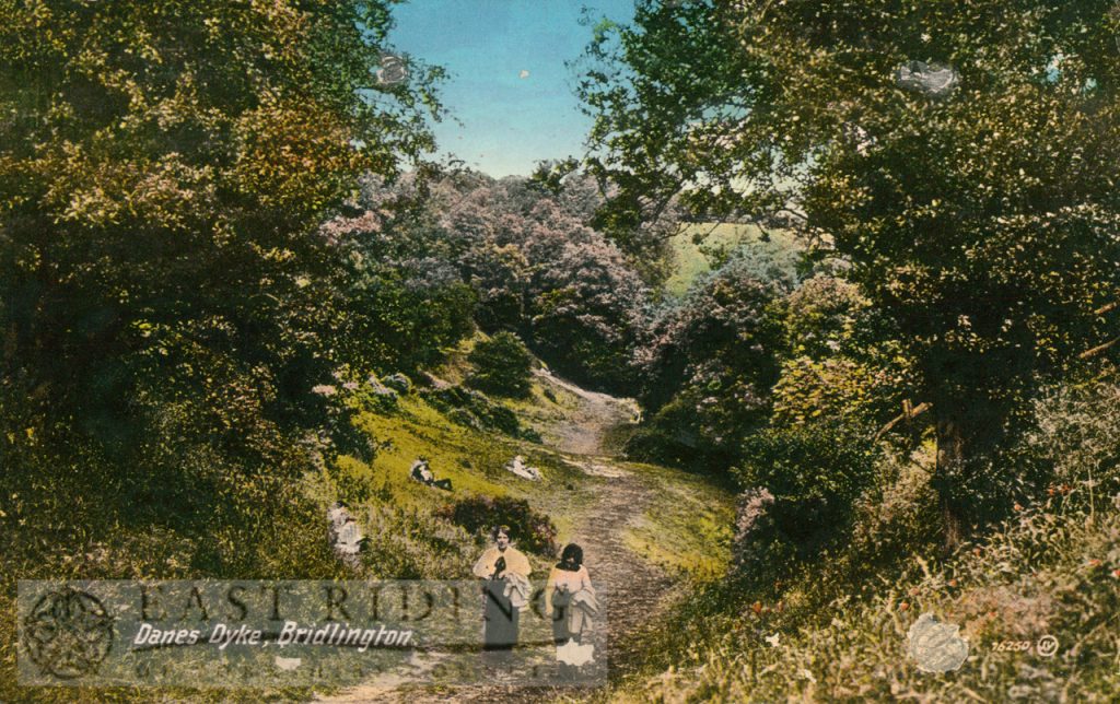 Danes Dyke, Flamborough