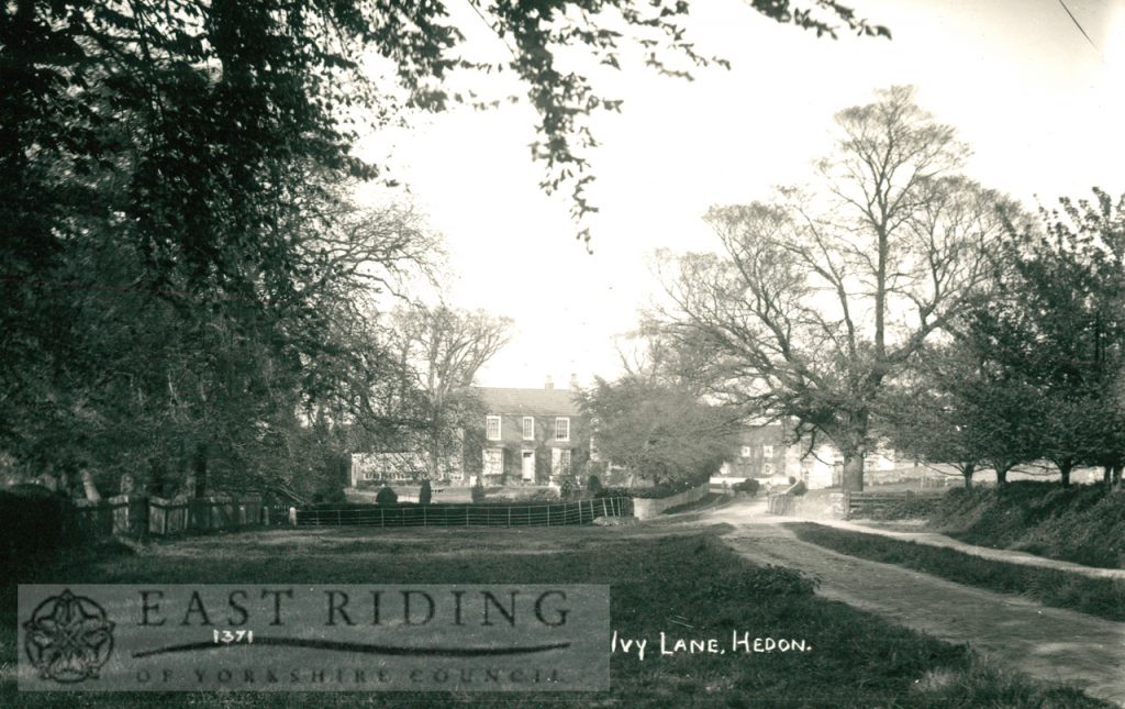 Ivy Lane from south west, Hedon  1900s