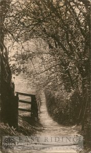 Lovers Walk, Hessle 1910