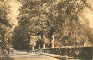 Tranby Road, Hessle 1915