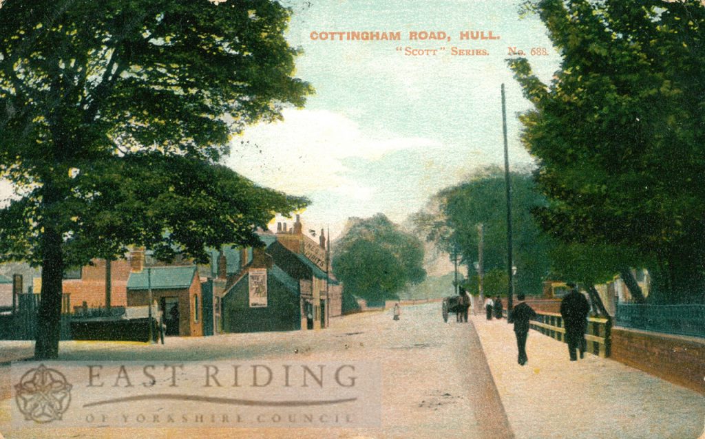 Cottingham Road, Hull 1905