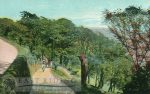 Ramsdale Valley gardens, Scarborough 1910
